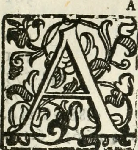 An illustration from Noua iconologia di Cesare Ripa perugino, caualier de SS. Mauritio & Lazzaro. Nella quale si descriuono diuerse imagini di virtù, vitij, affetti, passioni humane, arti, discipline, humori, elementi, corpi celesti, prouincie d'Italia, fiumi, tutte le parti del mondo, ed'altre infinite materie. Opera vtile ad oratori, predicatori, poeti, pittori, scultori, disegnatori, e ad'ogni studioso. Per inuentar concetti, emblemi, ed imprese, per diuisare qualsiuoglia apparato nuttiale, funerale, trionfale. Per rappresentar poemi drammatici, e per figurare co'suoi propij simboli ciò, che puo cadere in pensiero humano. Ampliata vltimamente dallo stesso auttore di trecento imagini, e arricchita di molti discorsi pieni di varia eruditione; con nuoui intagli, & con molti indici copiosi, 1618, leaf 41