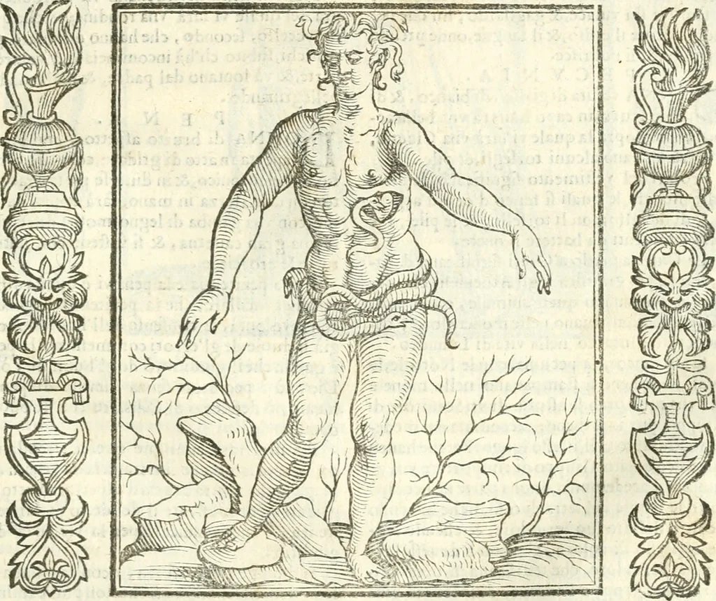 An illustration from Noua iconologia di Cesare Ripa perugino, caualier de SS. Mauritio & Lazzaro. Nella quale si descriuono diuerse imagini di virtù, vitij, affetti, passioni humane, arti, discipline, humori, elementi, corpi celesti, prouincie d'Italia, fiumi, tutte le parti del mondo, ed'altre infinite materie. Opera vtile ad oratori, predicatori, poeti, pittori, scultori, disegnatori, e ad'ogni studioso. Per inuentar concetti, emblemi, ed imprese, per diuisare qualsiuoglia apparato nuttiale, funerale, trionfale. Per rappresentar poemi drammatici, e per figurare co'suoi propij simboli ciò, che puo cadere in pensiero humano. Ampliata vltimamente dallo stesso auttore di trecento imagini, e arricchita di molti discorsi pieni di varia eruditione; con nuoui intagli, & con molti indici copiosi, 1618, leaf 452