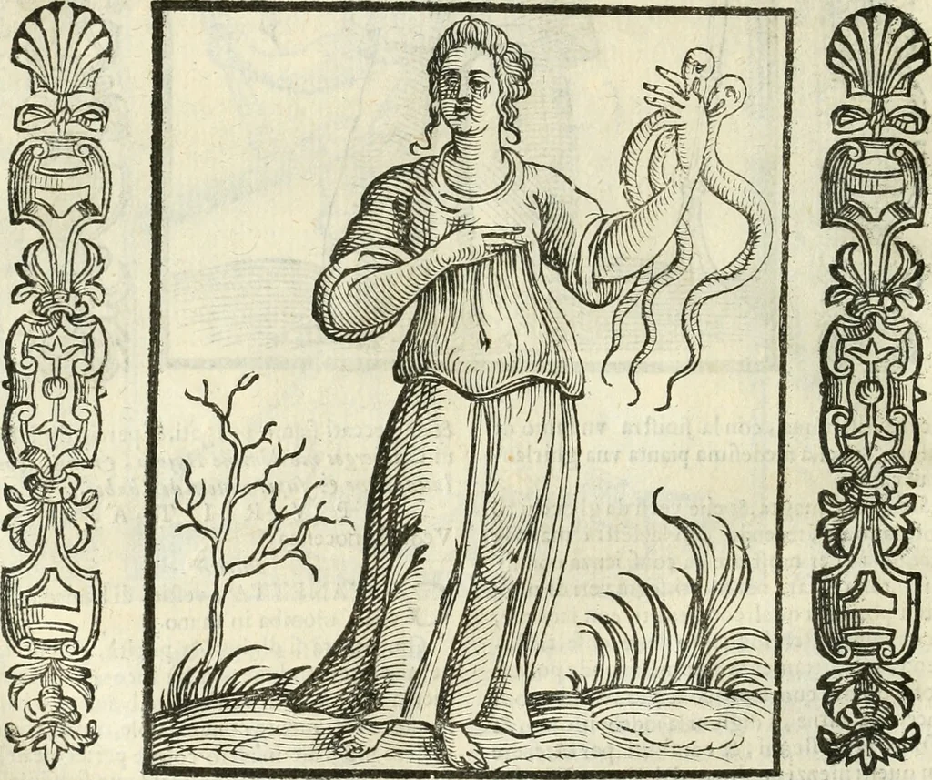 An illustration from Noua iconologia di Cesare Ripa perugino, caualier de SS. Mauritio & Lazzaro. Nella quale si descriuono diuerse imagini di virtù, vitij, affetti, passioni humane, arti, discipline, humori, elementi, corpi celesti, prouincie d'Italia, fiumi, tutte le parti del mondo, ed'altre infinite materie. Opera vtile ad oratori, predicatori, poeti, pittori, scultori, disegnatori, e ad'ogni studioso. Per inuentar concetti, emblemi, ed imprese, per diuisare qualsiuoglia apparato nuttiale, funerale, trionfale. Per rappresentar poemi drammatici, e per figurare co'suoi propij simboli ciò, che puo cadere in pensiero humano. Ampliata vltimamente dallo stesso auttore di trecento imagini, e arricchita di molti discorsi pieni di varia eruditione; con nuoui intagli, & con molti indici copiosi, 1618, leaf 485