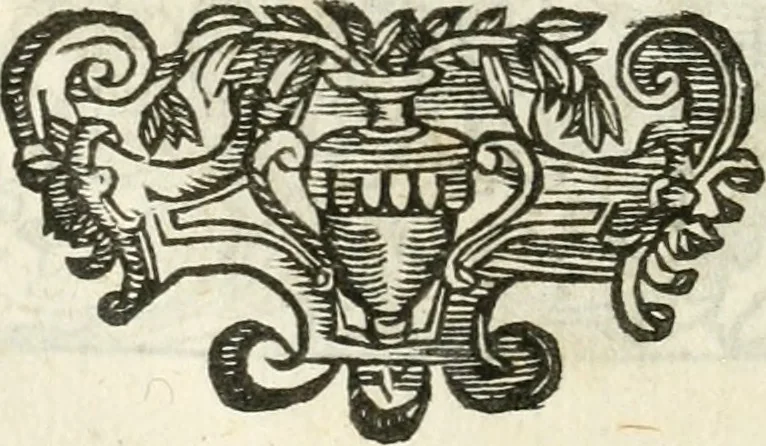 An illustration from Noua iconologia di Cesare Ripa perugino, caualier de SS. Mauritio & Lazzaro. Nella quale si descriuono diuerse imagini di virtù, vitij, affetti, passioni humane, arti, discipline, humori, elementi, corpi celesti, prouincie d'Italia, fiumi, tutte le parti del mondo, ed'altre infinite materie. Opera vtile ad oratori, predicatori, poeti, pittori, scultori, disegnatori, e ad'ogni studioso. Per inuentar concetti, emblemi, ed imprese, per diuisare qualsiuoglia apparato nuttiale, funerale, trionfale. Per rappresentar poemi drammatici, e per figurare co'suoi propij simboli ciò, che puo cadere in pensiero humano. Ampliata vltimamente dallo stesso auttore di trecento imagini, e arricchita di molti discorsi pieni di varia eruditione; con nuoui intagli, & con molti indici copiosi, 1618, leaf 51