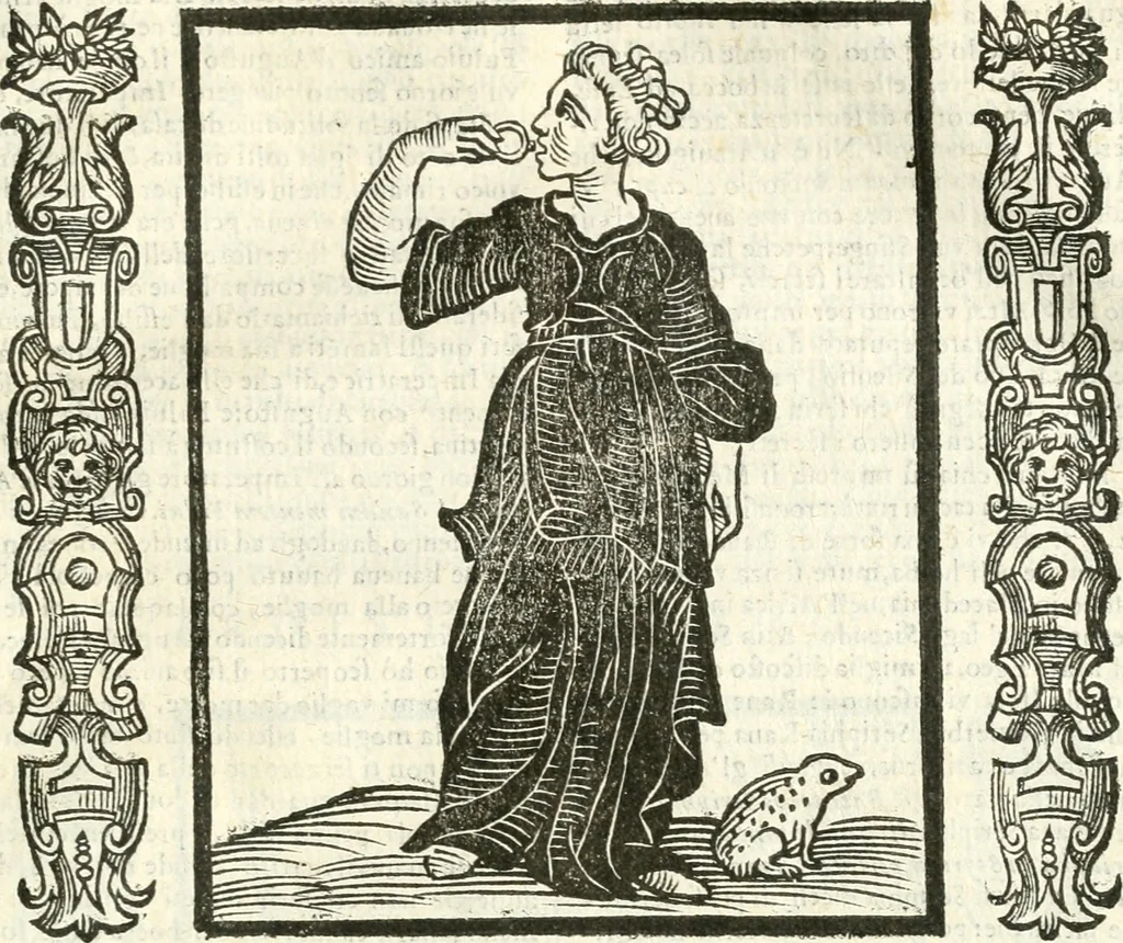 An illustration from Noua iconologia di Cesare Ripa perugino, caualier de SS. Mauritio & Lazzaro. Nella quale si descriuono diuerse imagini di virtù, vitij, affetti, passioni humane, arti, discipline, humori, elementi, corpi celesti, prouincie d'Italia, fiumi, tutte le parti del mondo, ed'altre infinite materie. Opera vtile ad oratori, predicatori, poeti, pittori, scultori, disegnatori, e ad'ogni studioso. Per inuentar concetti, emblemi, ed imprese, per diuisare qualsiuoglia apparato nuttiale, funerale, trionfale. Per rappresentar poemi drammatici, e per figurare co'suoi propij simboli ciò, che puo cadere in pensiero humano. Ampliata vltimamente dallo stesso auttore di trecento imagini, e arricchita di molti discorsi pieni di varia eruditione; con nuoui intagli, & con molti indici copiosi, 1618, leaf 516