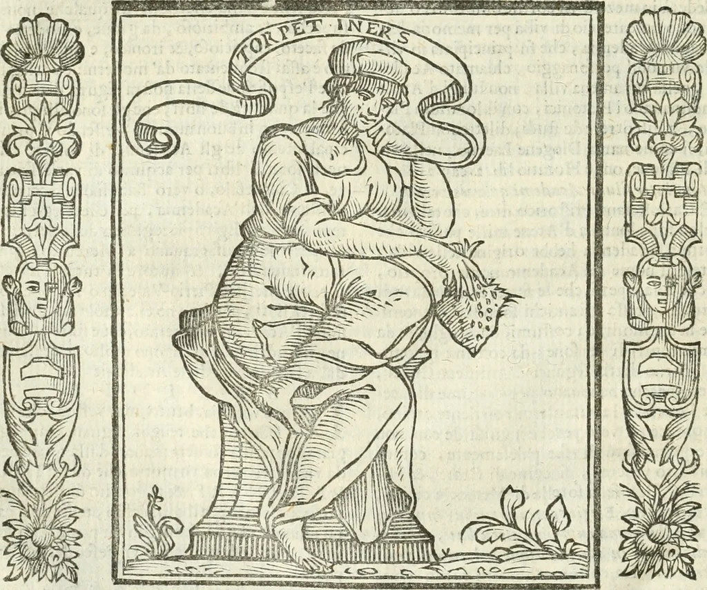 An illustration from Noua iconologia di Cesare Ripa perugino, caualier de SS. Mauritio & Lazzaro. Nella quale si descriuono diuerse imagini di virtù, vitij, affetti, passioni humane, arti, discipline, humori, elementi, corpi celesti, prouincie d'Italia, fiumi, tutte le parti del mondo, ed'altre infinite materie. Opera vtile ad oratori, predicatori, poeti, pittori, scultori, disegnatori, e ad'ogni studioso. Per inuentar concetti, emblemi, ed imprese, per diuisare qualsiuoglia apparato nuttiale, funerale, trionfale. Per rappresentar poemi drammatici, e per figurare co'suoi propij simboli ciò, che puo cadere in pensiero humano. Ampliata vltimamente dallo stesso auttore di trecento imagini, e arricchita di molti discorsi pieni di varia eruditione; con nuoui intagli, & con molti indici copiosi, 1618, leaf 57