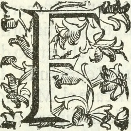 An illustration from Noua iconologia di Cesare Ripa perugino, caualier de SS. Mauritio & Lazzaro. Nella quale si descriuono diuerse imagini di virtù, vitij, affetti, passioni humane, arti, discipline, humori, elementi, corpi celesti, prouincie d'Italia, fiumi, tutte le parti del mondo, ed'altre infinite materie. Opera vtile ad oratori, predicatori, poeti, pittori, scultori, disegnatori, e ad'ogni studioso. Per inuentar concetti, emblemi, ed imprese, per diuisare qualsiuoglia apparato nuttiale, funerale, trionfale. Per rappresentar poemi drammatici, e per figurare co'suoi propij simboli ciò, che puo cadere in pensiero humano. Ampliata vltimamente dallo stesso auttore di trecento imagini, e arricchita di molti discorsi pieni di varia eruditione; con nuoui intagli, & con molti indici copiosi, 1618, leaf 6