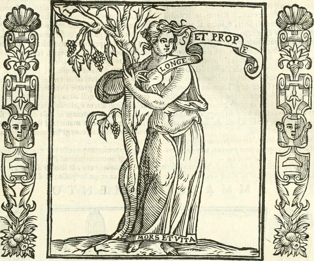 An illustration from Noua iconologia di Cesare Ripa perugino, caualier de SS. Mauritio & Lazzaro. Nella quale si descriuono diuerse imagini di virtù, vitij, affetti, passioni humane, arti, discipline, humori, elementi, corpi celesti, prouincie d'Italia, fiumi, tutte le parti del mondo, ed'altre infinite materie. Opera vtile ad oratori, predicatori, poeti, pittori, scultori, disegnatori, e ad'ogni studioso. Per inuentar concetti, emblemi, ed imprese, per diuisare qualsiuoglia apparato nuttiale, funerale, trionfale. Per rappresentar poemi drammatici, e per figurare co'suoi propij simboli ciò, che puo cadere in pensiero humano. Ampliata vltimamente dallo stesso auttore di trecento imagini, e arricchita di molti discorsi pieni di varia eruditione; con nuoui intagli, & con molti indici copiosi, 1618, leaf 68