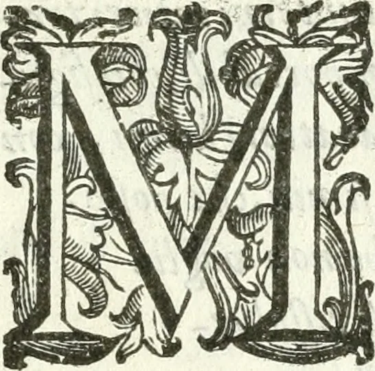 An illustration from Noua iconologia di Cesare Ripa perugino, caualier de SS. Mauritio & Lazzaro. Nella quale si descriuono diuerse imagini di virtù, vitij, affetti, passioni humane, arti, discipline, humori, elementi, corpi celesti, prouincie d'Italia, fiumi, tutte le parti del mondo, ed'altre infinite materie. Opera vtile ad oratori, predicatori, poeti, pittori, scultori, disegnatori, e ad'ogni studioso. Per inuentar concetti, emblemi, ed imprese, per diuisare qualsiuoglia apparato nuttiale, funerale, trionfale. Per rappresentar poemi drammatici, e per figurare co'suoi propij simboli ciò, che puo cadere in pensiero humano. Ampliata vltimamente dallo stesso auttore di trecento imagini, e arricchita di molti discorsi pieni di varia eruditione; con nuoui intagli, & con molti indici copiosi, 1618, leaf 8