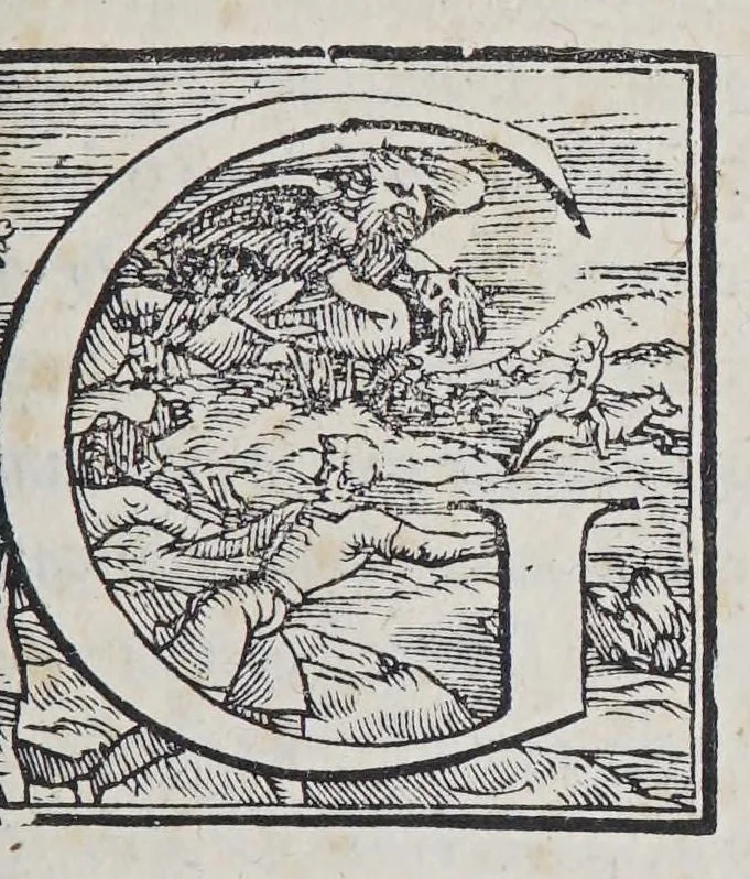 An illustration from Noui auisi di piu lochi de l'India et massime de Brasil riceuuti quest' anno del .M.D.LIII. : doue chiaramente si puo intendere la conuersione di molte persone etiam molto principali nelle terre gia scoperte & no[n] minor s'aspetta nell'altre che si han de scoprir & la mutatione grande che fanno de la lor vita dil che n'han conseguito oltra la ciuilta & politia di costume che Dio opera al presenti euidenti segni & miracoli in loro, 1553, leaf 9