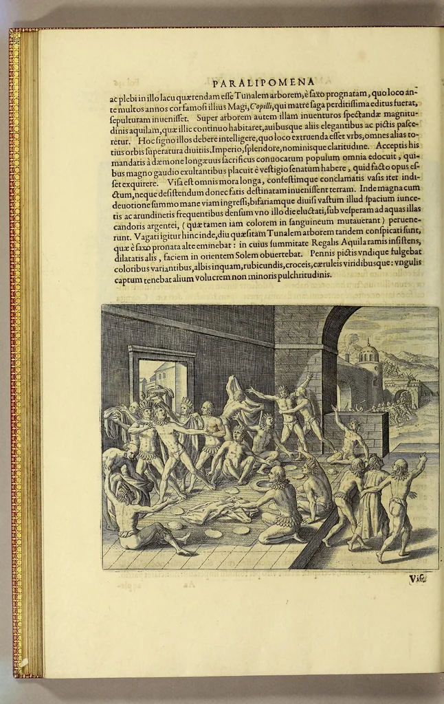 An illustration from Noui Orbis pars duodecima. Sive Descriptio Indiae Occidentalis,, 1624, leaf 318
