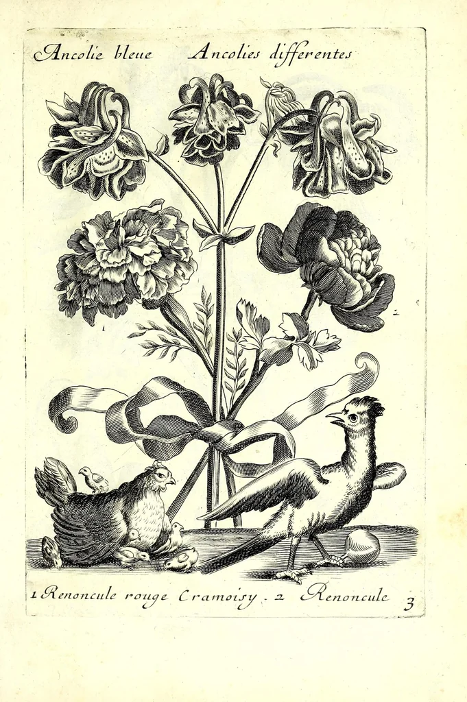 An illustration from Nouueau liure de fleurs, feuilles, et oyseaux, dessigné et gravé apres le naturel, 1680, leaf 13