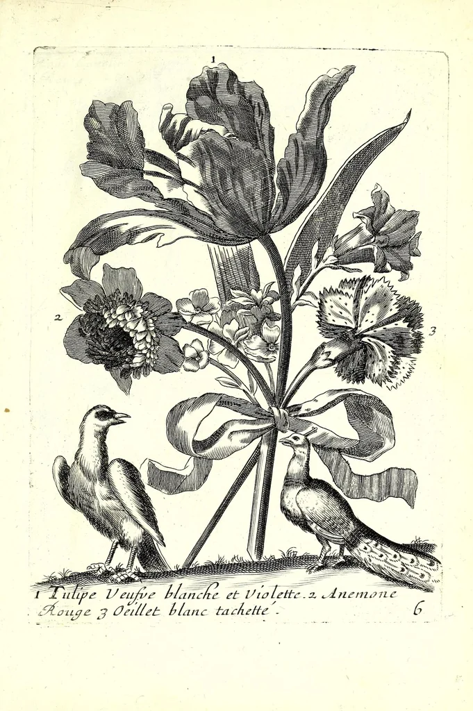An illustration from Nouueau liure de fleurs, feuilles, et oyseaux, dessigné et gravé apres le naturel, 1680, leaf 19