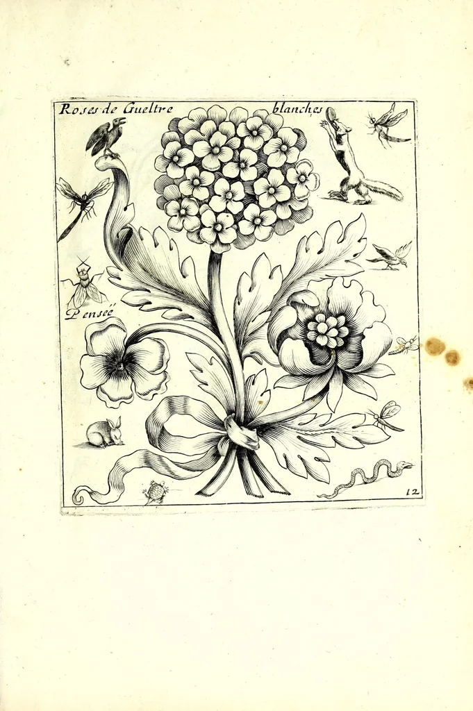 An illustration from Nouueau liure de fleurs, feuilles, et oyseaux, dessigné et gravé apres le naturel, 1680, leaf 31