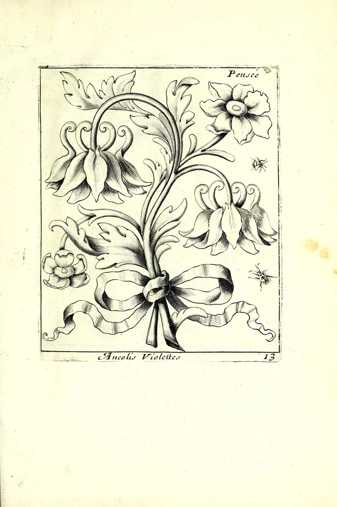 An illustration from Nouueau liure de fleurs, feuilles, et oyseaux, dessigné et gravé apres le naturel, 1680, leaf 33