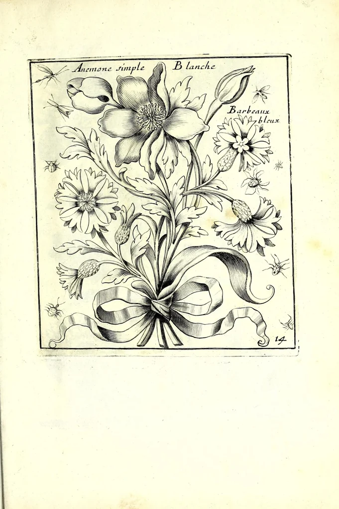 An illustration from Nouueau liure de fleurs, feuilles, et oyseaux, dessigné et gravé apres le naturel, 1680, leaf 35