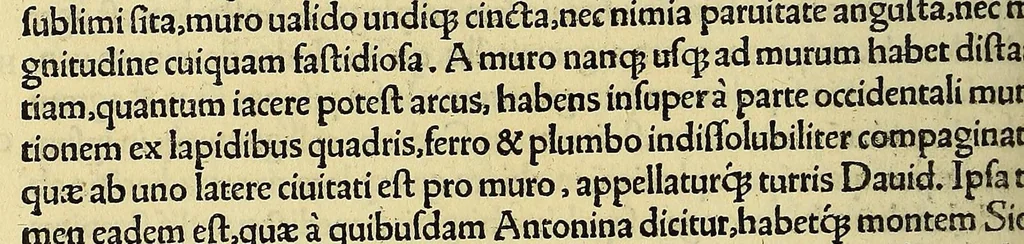 An illustration from Nouus orbis regionum ac insularum ueteribus incognitarum,, 1532, leaf 376