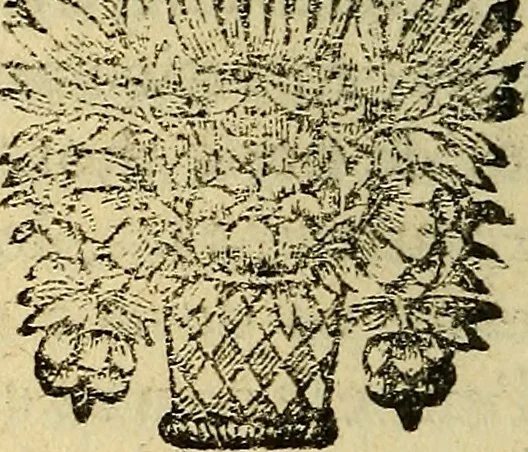 An illustration from Nouveau cours de medecine, ou, Selon les principes de la nature & des mécaniques, 1669, leaf 175