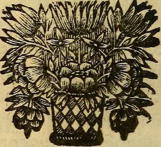 An illustration from Nouveau cours de medecine, ou, Selon les principes de la nature & des mécaniques, 1669, leaf 297