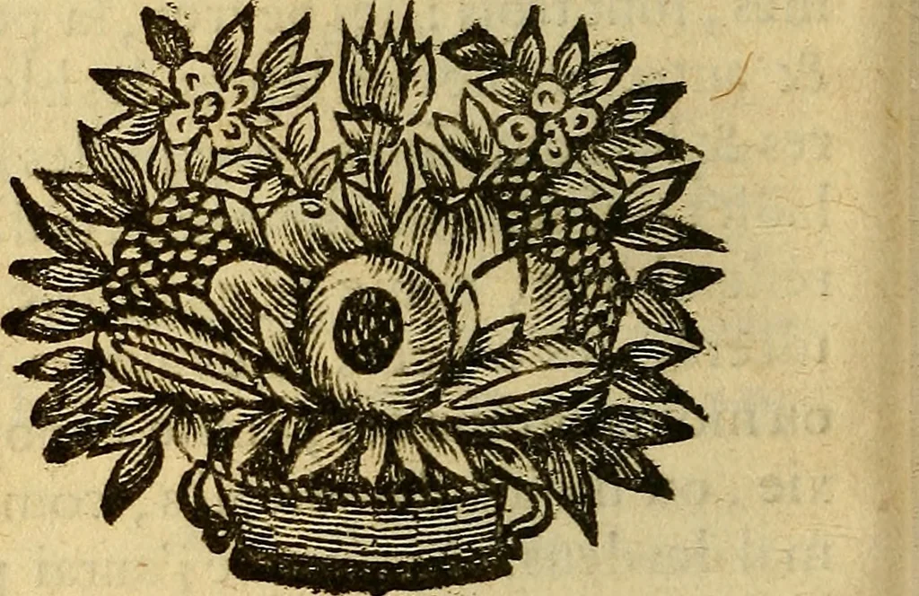 An illustration from Nouveau cours de medecine, ou, Selon les principes de la nature & des mécaniques, 1669, leaf 343
