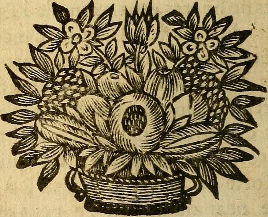 An illustration from Nouveau cours de medecine, ou, Selon les principes de la nature & des mécaniques, 1669, leaf 519