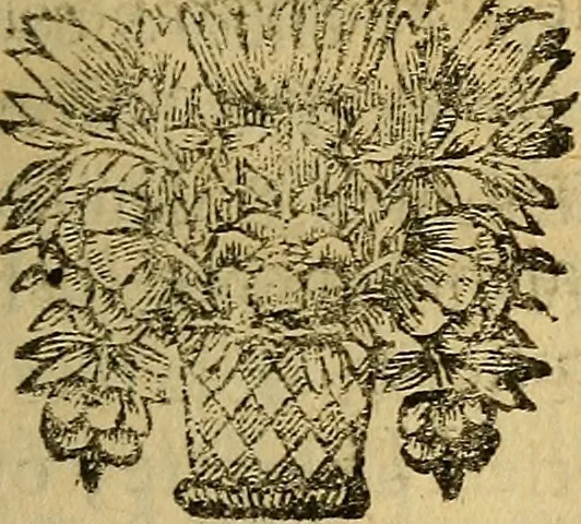 An illustration from Nouveau cours de medecine, ou, Selon les principes de la nature & des mécaniques, 1669, leaf 80