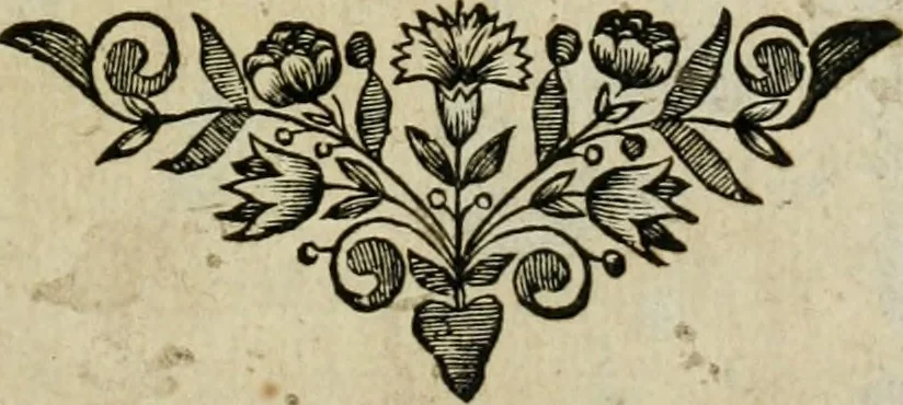 An illustration from Nouveau dictionnaire françois : contenant généralement tous les mots, les matières, et plusieurs nouvelles remarques sur la langue françoise, 1694, leaf 4