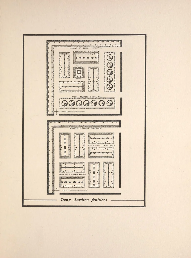 An illustration from Le nouveau jardin, 1912, leaf 206