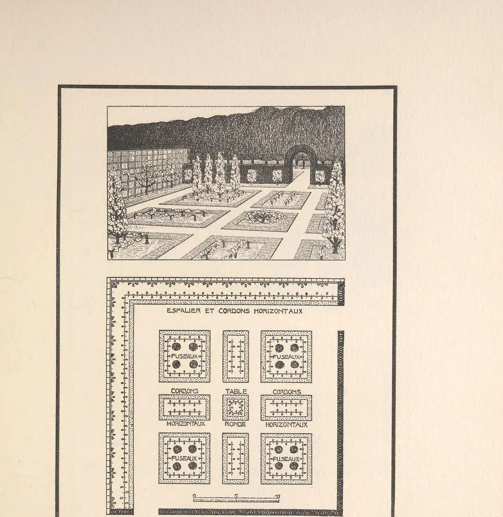 An illustration from Le nouveau jardin, 1912, leaf 208