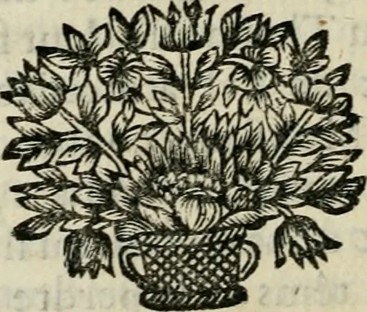 An illustration from Nouveau sisteme des bains et eaux minerales de Vichy : fondé sur plusieurs belles experiences, & sur la doctrine de l'acide & de l'alcaly : ouvrage curieux et necessaire à tous les physiciens, & aux malades, ausquels il donne de grandes lumieres sur la nature & sur les effets des bains & eaux minerales en general, 1686, leaf 317