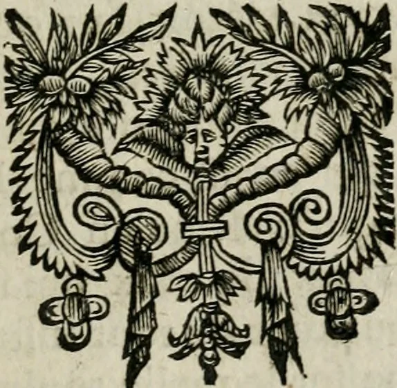 An illustration from Nouveau sisteme des bains et eaux minerales de Vichy : fondé sur plusieurs belles experiences, & sur la doctrine de l'acide & de l'alcaly : ouvrage curieux et necessaire à tous les physiciens, & aux malades, ausquels il donne de grandes lumieres sur la nature & sur les effets des bains & eaux minerales en general, 1686, leaf 38