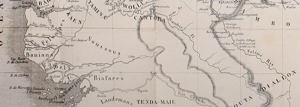 An illustration from Nouveau voyage dans le pays des nègres, suivi d'études sur la colonie du Sénégal, et de documents historiques, géographiques et scientifiques, 1856, leaf 478