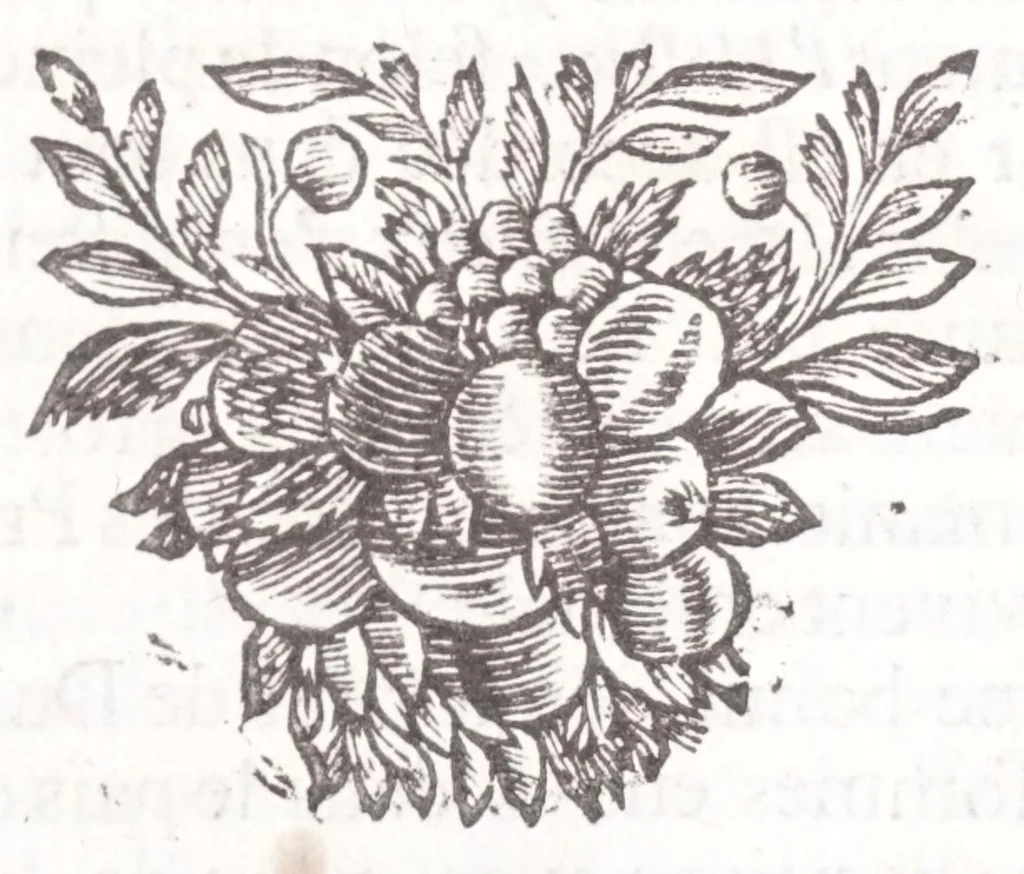 An illustration from Nouveau voyage d'Italie, avec un memoire contenant des avis utiles à ceux qui voudront faire le mesme voyage, 1698, leaf 68
