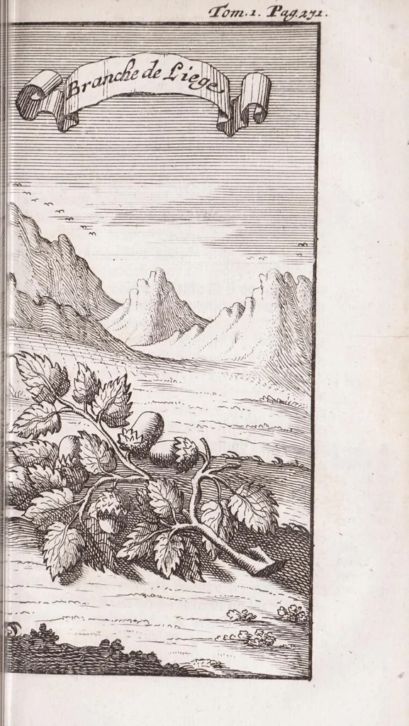 An illustration from Nouveau voyage d'Italie, avec un memoire contenant des avis utiles à ceux qui voudront faire le mesme voyage, 1694, leaf 359