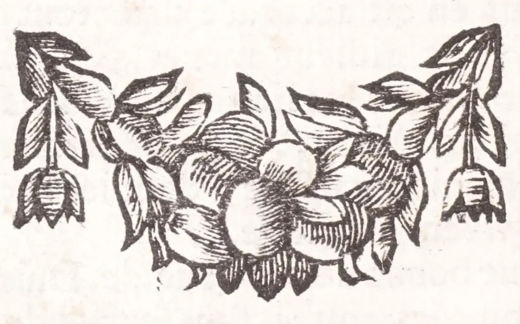 An illustration from Nouveau voyage d'Italie, avec un memoire contenant des avis utiles à ceux qui voudront faire le mesme voyage, 1694, leaf 66