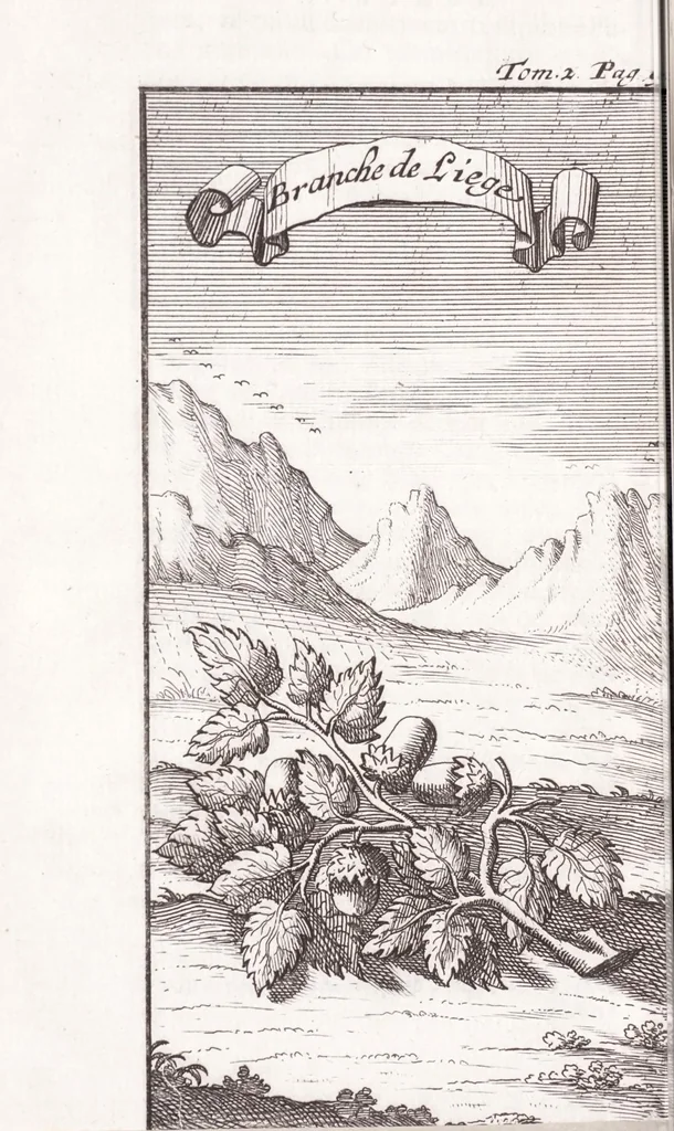 An illustration from Nouveau voyage d'Italie, avec un memoire contenant des avis utiles à ceux qui voudront faire le mesme voyage, 1698, leaf 14