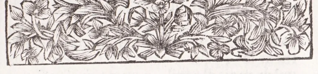 An illustration from Nouveau voyage d'Italie, avec un memoire contenant des avis utiles à ceux qui voudront faire le mesme voyage, 1698, leaf 7