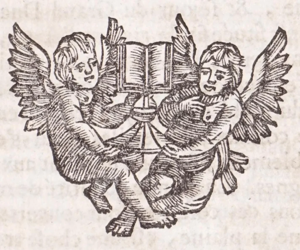 An illustration from Nouveau voyage d'Italie, avec un memoire contenant des avis utiles à ceux qui voudront faire le mesme voyage, 1694, leaf 217