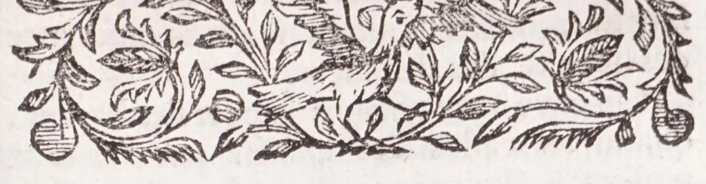 An illustration from Nouveau voyage d'Italie, avec un memoire contenant des avis utiles à ceux qui voudront faire le mesme voyage, 1694, leaf 369