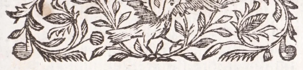 An illustration from Nouveau voyage d'Italie, avec un memoire contenant des avis utiles à ceux qui voudront faire le mesme voyage, 1698, leaf 175