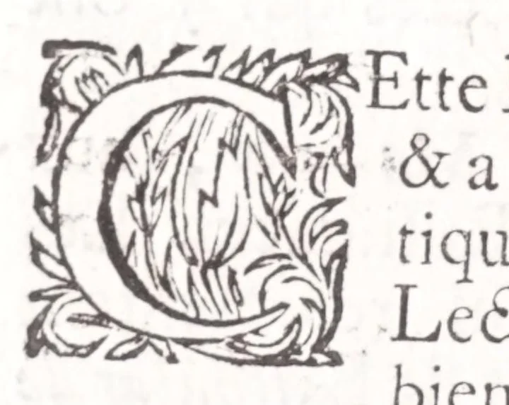 An illustration from Nouveau voyage d'Italie, avec un memoire contenant des avis utiles à ceux qui voudront faire le mesme voyage, 1698, leaf 300