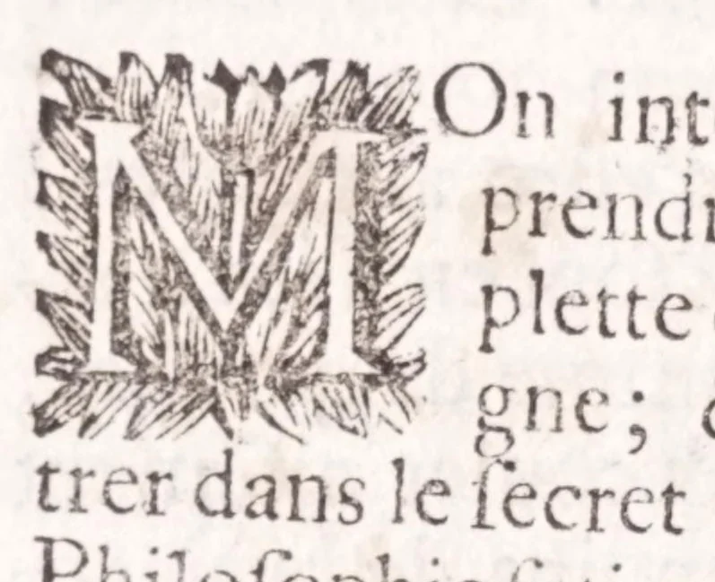 An illustration from Nouveau voyage d'Italie, avec un memoire contenant des avis utiles à ceux qui voudront faire le mesme voyage, 1698, leaf 368