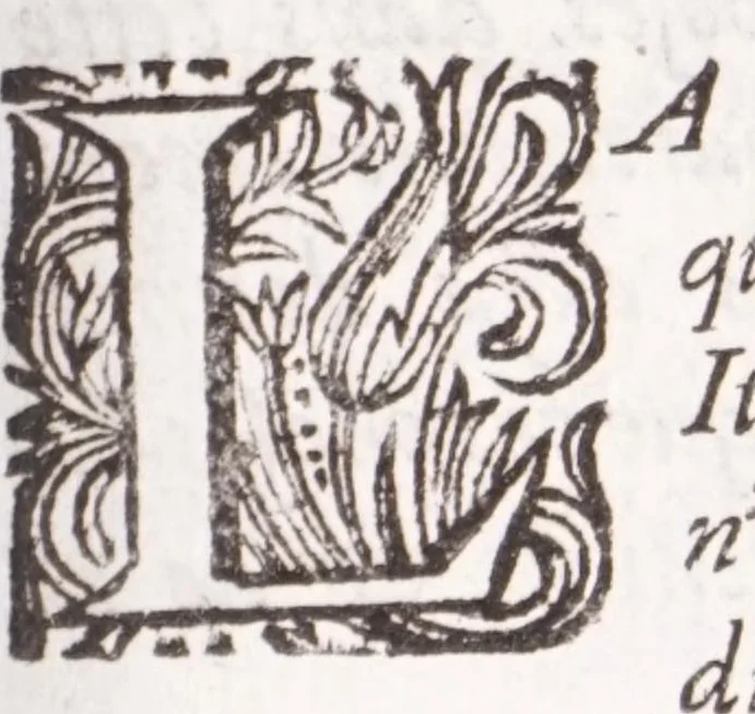 An illustration from Nouveau voyage d'Italie, avec un memoire contenant des avis utiles à ceux qui voudront faire le mesme voyage, 1698, leaf 7