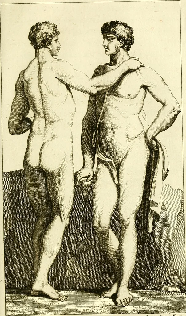 An illustration from Le Physionomiste, ou l'observateur de l'homme considéré sous les rapports de ses moeurs et de son caractère, d'après les traits du visage, les formes du corps, la démarche, la voix, le rire etc, etc, avec des rapprochements sur la ressemblance de divers individus, avec certains animaux, 1808, leaf 532
