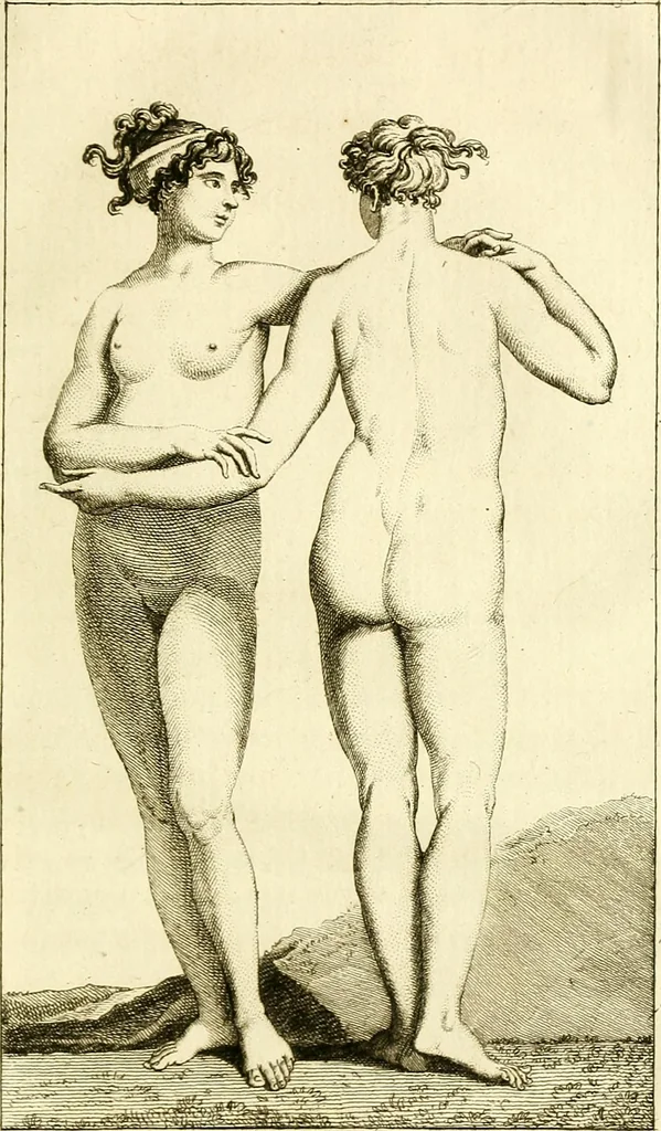 An illustration from Le Physionomiste, ou l'observateur de l'homme considéré sous les rapports de ses moeurs et de son caractère, d'après les traits du visage, les formes du corps, la démarche, la voix, le rire etc, etc, avec des rapprochements sur la ressemblance de divers individus, avec certains animaux, 1808, leaf 538