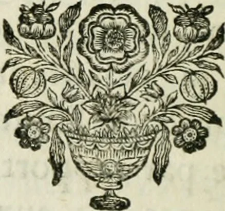 An illustration from Nouvelle de'couverte sur la lumiere, pour la mesurer & en compter les degrés, 1700, leaf 39