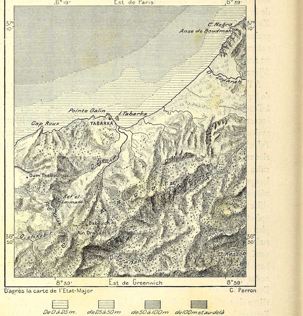 An illustration from Nouvelle géographie universelle; la terre et les hommes, 1876, leaf 298