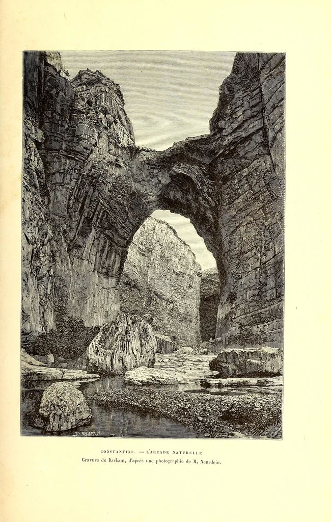 An illustration from Nouvelle géographie universelle; la terre et les hommes, 1876, leaf 447