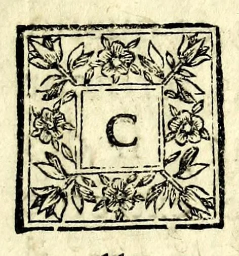 An illustration from Nouvelle maniere de fortifier les places, tirée des methodes du chevalier de Ville, du comte de Pagan, & de monsieur de Vauban : avec des remarques sur l'ordre renforcé, sur les desseins du capitaine Marchi, & sur ceux de M. Blondel, suivies de deux nouveaux desseins, 1689, leaf 11