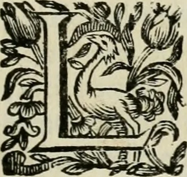 An illustration from Nouvelle maniere de fortifier les places, 1683, leaf 16