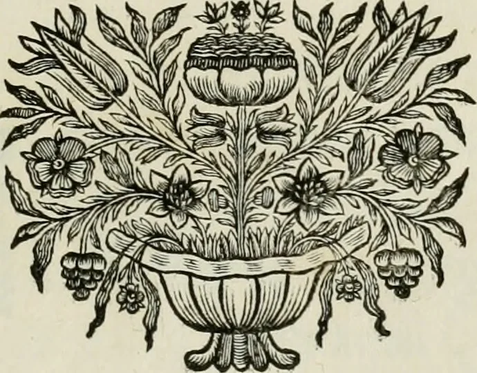 An illustration from Nouvelle maniere de fortifier les places, 1683, leaf 8
