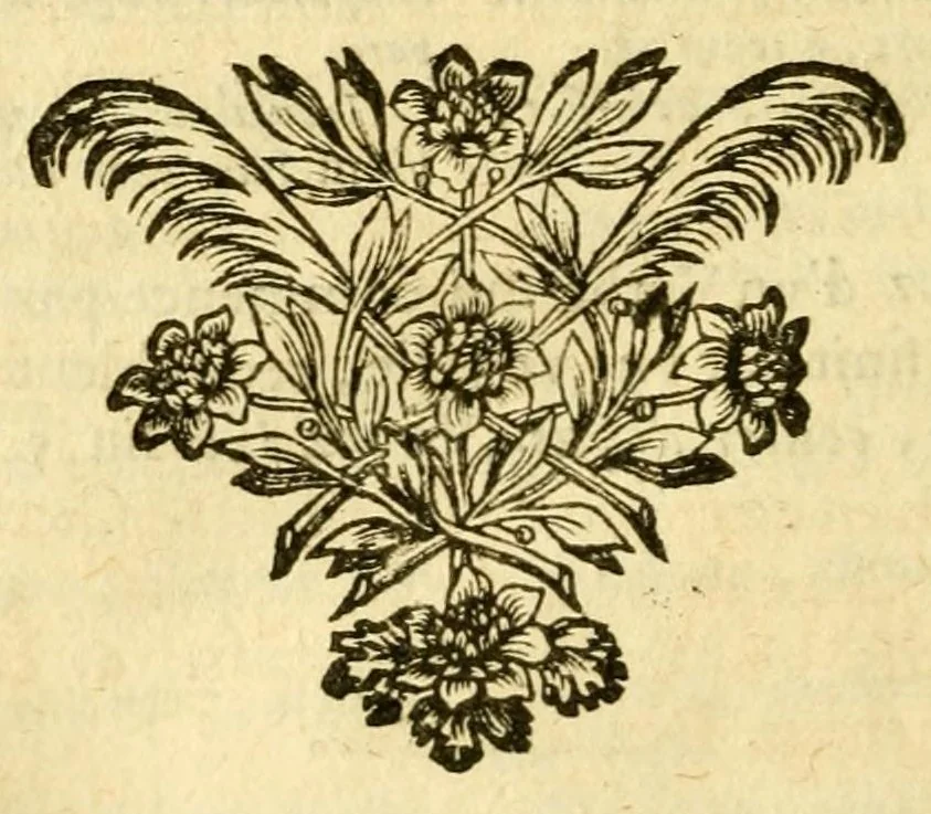 An illustration from Nouvelle methode pour apprendre facilement la langue greque : contenant les regles des declinaisons, des coniuguaisons, de l'inuestigation du theme, de la syntaxe, de la quantité, des accens, des dialectes, & des licences poëtiques : mises en françois, dans un ordre tres-clair & tres-abregé, 1655, leaf 466