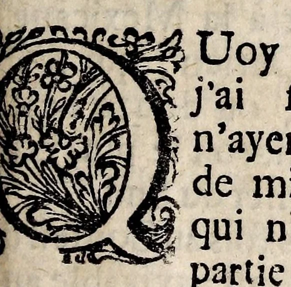 An illustration from Nouvelle relation, contenant les voyages de Thomas Gage dans la Nouvelle Espagne, ses diverses avantures; & son retour par la province de Nicaragua, jusques à la Havane. Avec la description de la ville de Mexique telle qu'elle estoit autrefois, & comme elle est à present. Ensemble une description exacte des terres & provinces que possedent les Espagnols en toute l'Amérique, de la forme de leur gouvernement ecclesiastique & politique, de leur commerce, de leurs moeurs, & de celles des criolles, des metifs, des mulatres, des Indiens, & des negres.., 1699, leaf 255