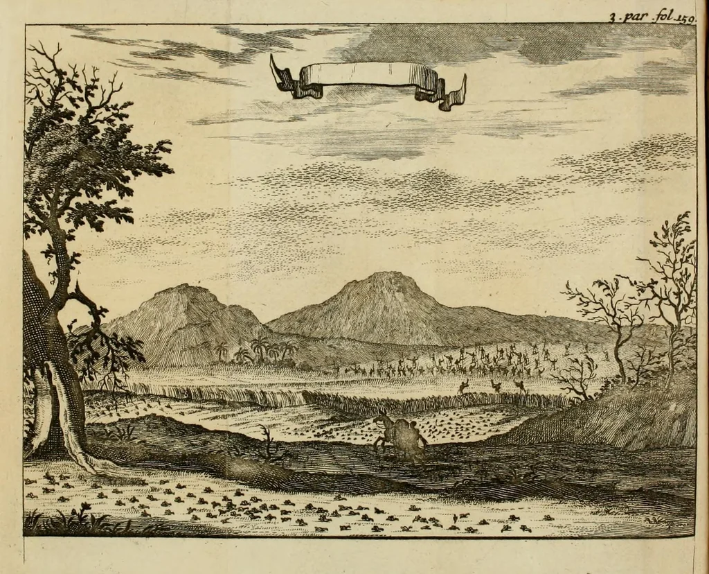 An illustration from Nouvelle relation, contenant les voyages de Thomas Gage dans la Nouvelle Espagne, ses diverses avantures; & son retour par la province de Nicaragua, jusques à la Havane. Avec la description de la ville de Mexique telle qu'elle estoit autrefois, & comme elle est à present. Ensemble une description exacte des terres & provinces que possedent les Espagnols en toute l'Amérique, de la forme de leur gouvernement ecclesiastique & politique, de leur commerce, de leurs moeurs, & de celles des criolles, des metifs, des mulatres, des Indiens, & des negres.., 1699, leaf 188